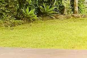 1078 Scenic Drive North, Swanson