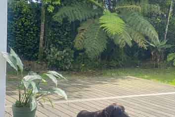 1078 Scenic Drive North, Swanson