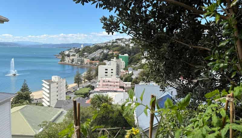 2/2 Oriental Terrace, Mount Victoria