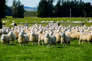 372 Looney Road, South Hillend