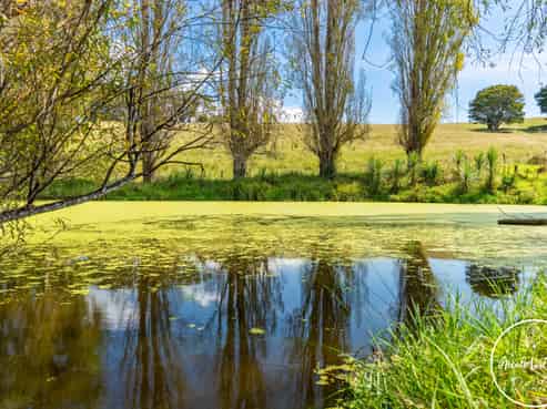 35 Minnie Casey Rise, Matakohe