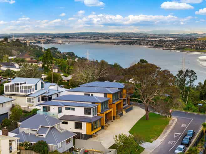 3/1 George Laurenson Lane, Mount Roskill