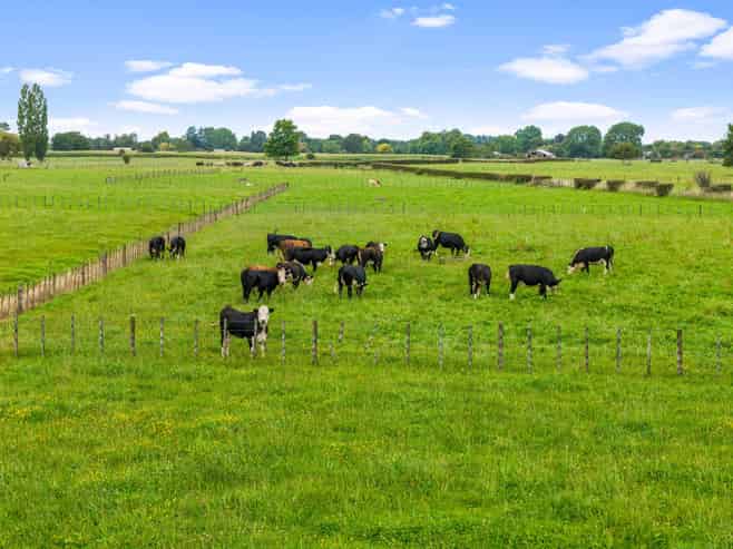 493 Horotiu Road, Te Kowhai