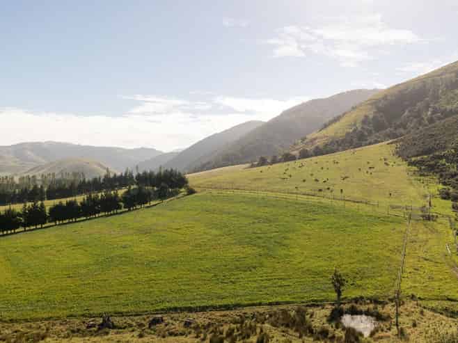  Ashley Gorge Road, Oxford
