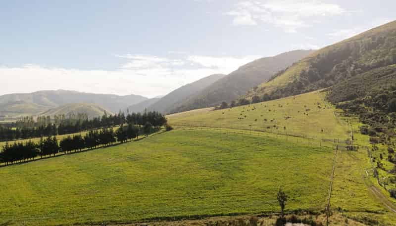  Ashley Gorge Road, Oxford