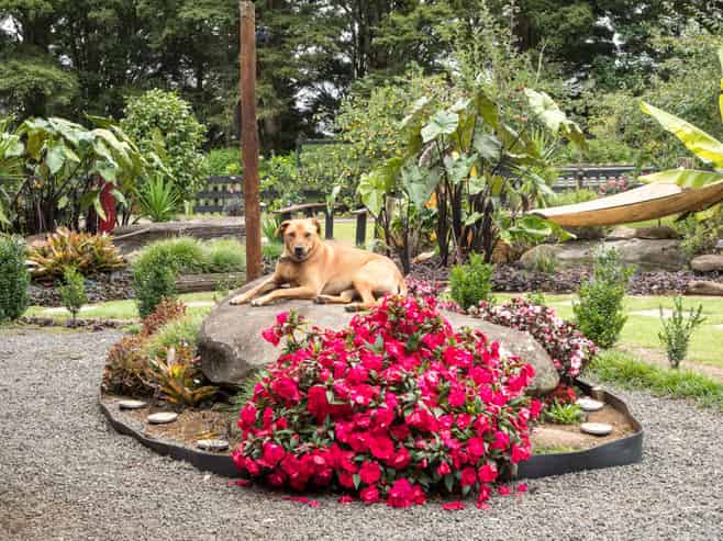 21A Waiare Road, Okaihau