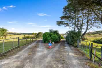 502 Scottys Camp Road, Dargaville Surrounds