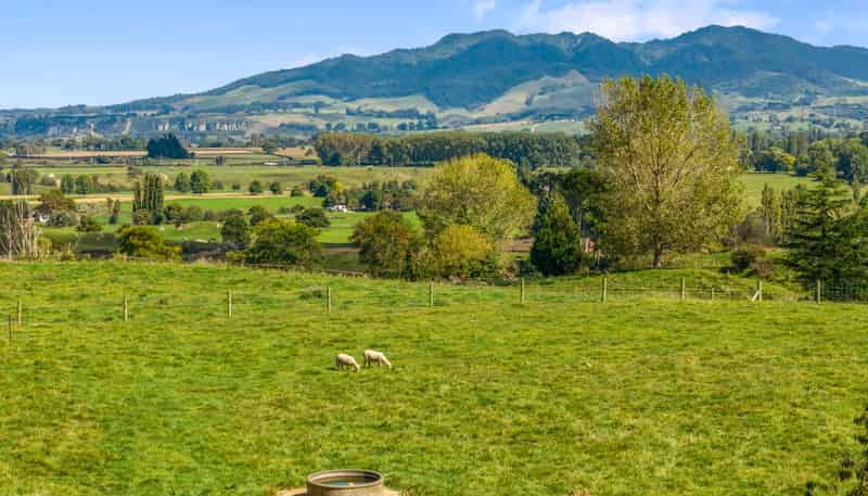 95D Pearsons Road, Putaruru