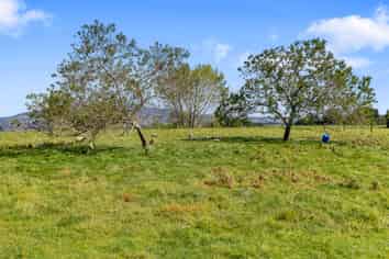 95D Pearsons Road, Putaruru