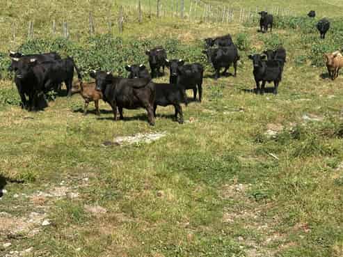 354 Paraite Road, Paraite