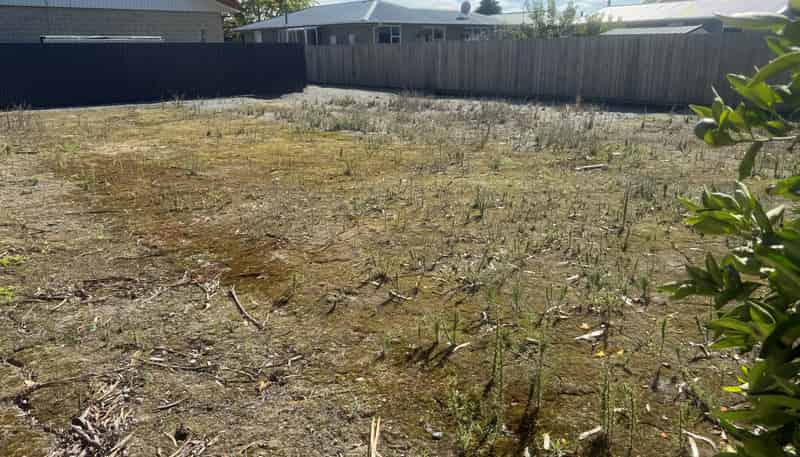 103A Grove Street, Tinwald