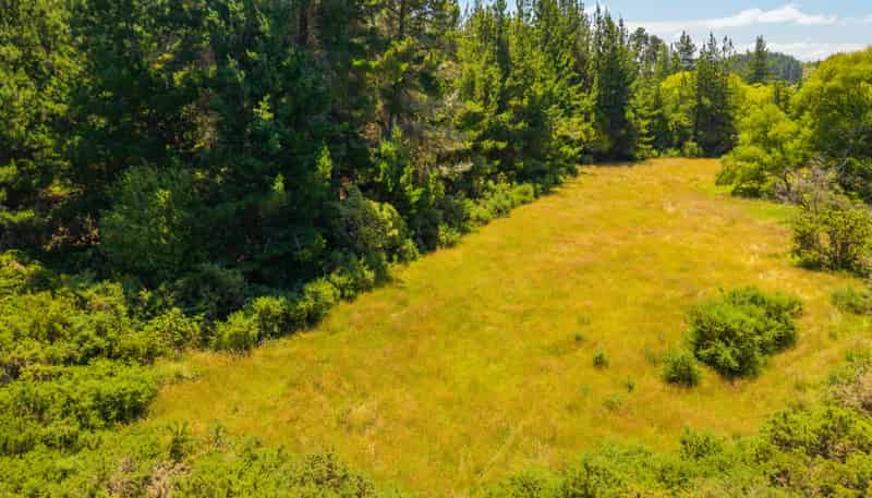 51 Mahana School Road, Mahana