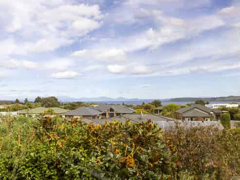 85 Arrowsmith Avenue, Waipahihi