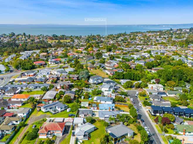 6 Springside Place, NEW LYNN