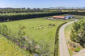 206 Mount Brown Road, Amberley