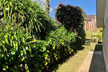 11A Vagus Place, Royal Oak