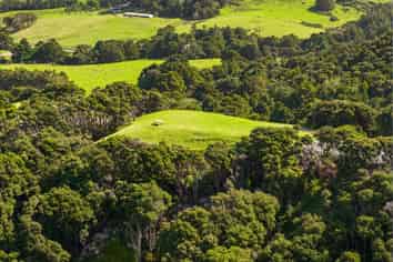 Lot 1 Kapawiti Road, Mangawhai