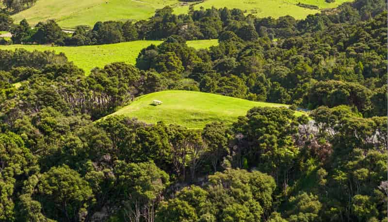 Lot 1 Kapawiti Road, Mangawhai