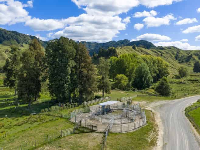 1221 Waitewhena Road, Taumarunui