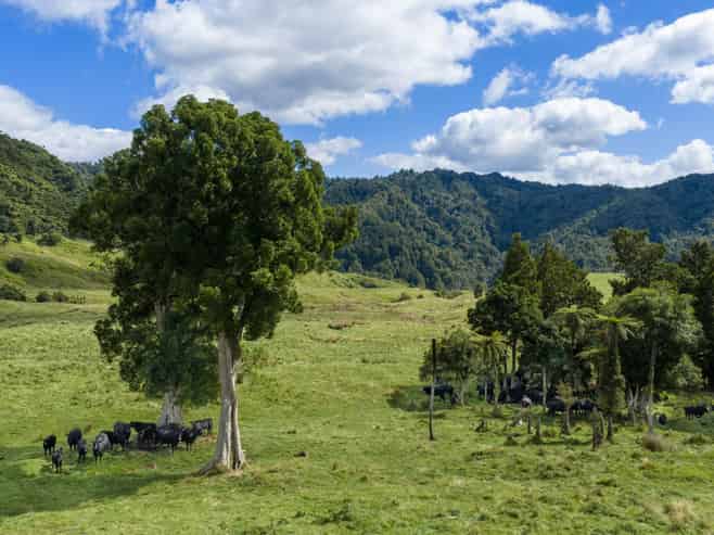 1221 Waitewhena Road, Taumarunui