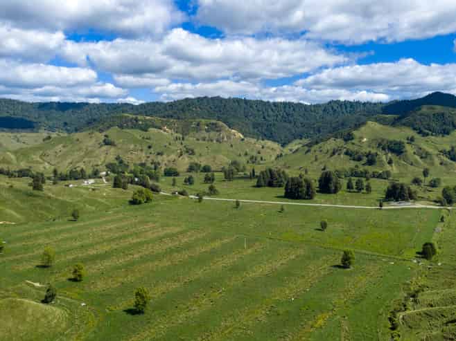 1221 Waitewhena Road, Taumarunui