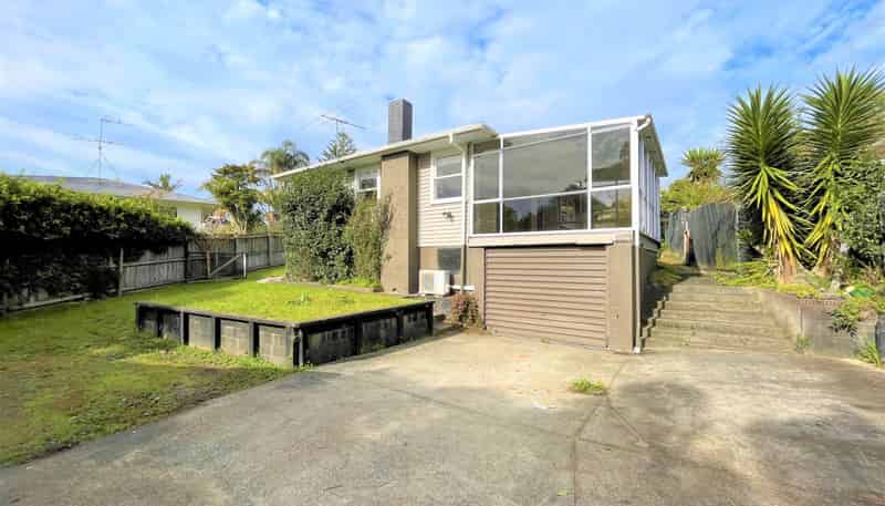 17 Aplin Place, Birkdale