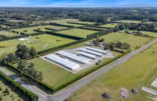 Immaculate Broiler Farm: Scale & Income