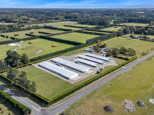 Immaculate Broiler Farm: Scale & Income