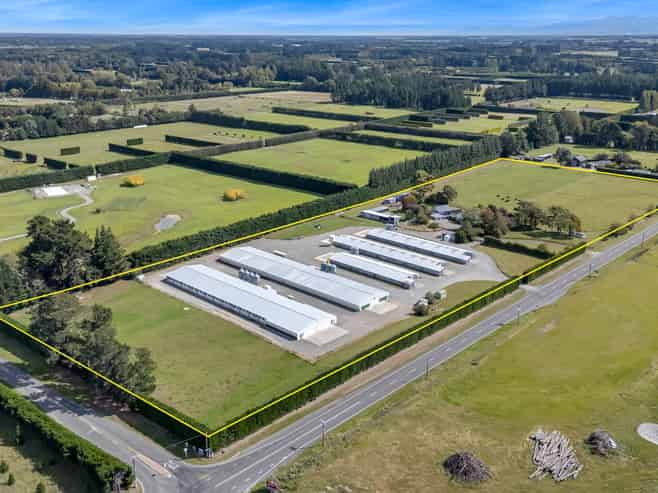 Immaculate Broiler Farm: Scale & Income