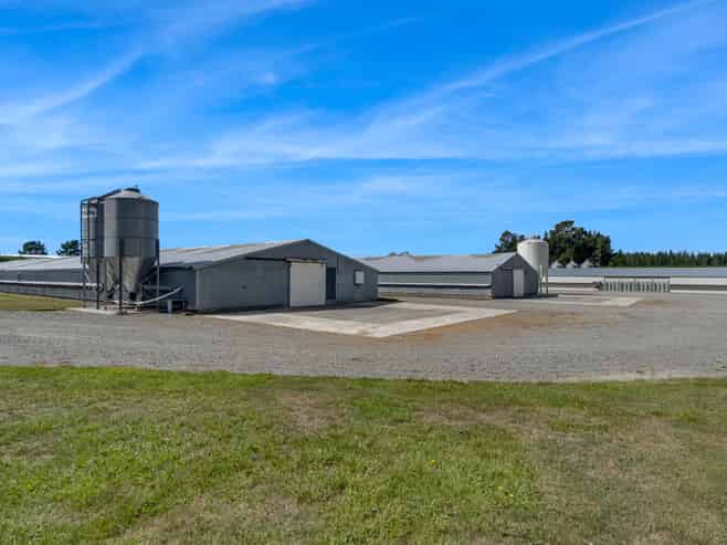 Immaculate Broiler Farm: Scale & Income