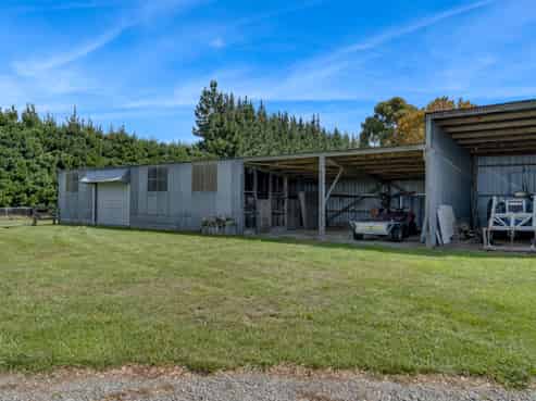 Immaculate Broiler Farm: Scale & Income