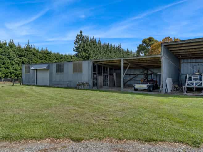 Immaculate Broiler Farm: Scale & Income