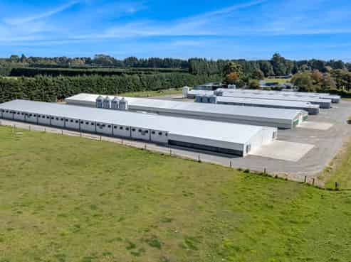 Immaculate Broiler Farm: Scale & Income