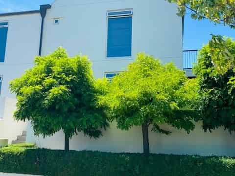 4 Cheltenham Street, Merivale