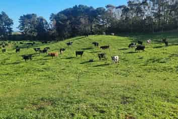 147A Papaitonga Lake Road, Ohau