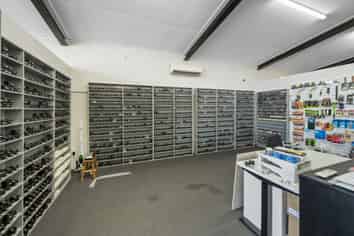 Business Opportunity Plus