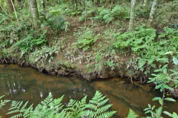 Lot 1, Dodd Road, Maungaturoto