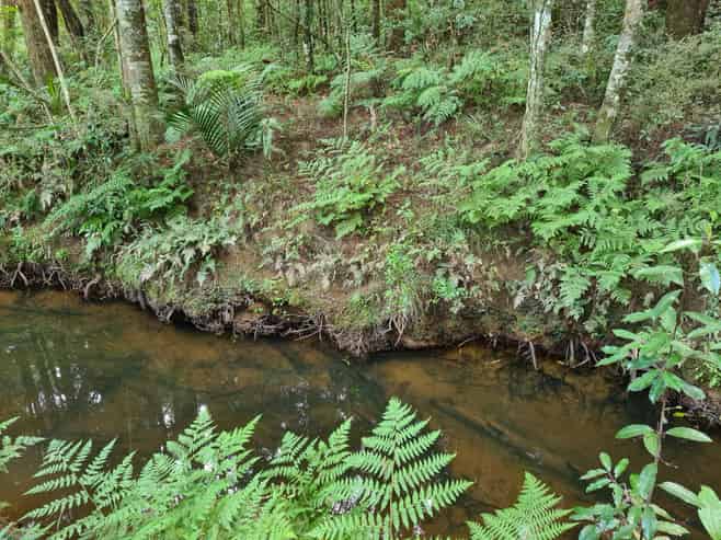 Lot 1, Dodd Road, Maungaturoto