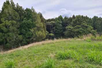 Lot 1, Dodd Road, Maungaturoto