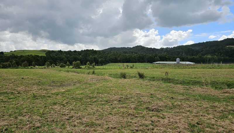 Lot 4, Dodd Road, Maungaturoto