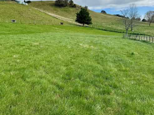 Lot 1, 1066 Dartmoor Road, Puketapu