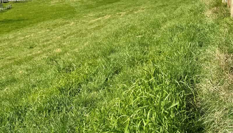 Lot 1, 1066 Dartmoor Road, Puketapu