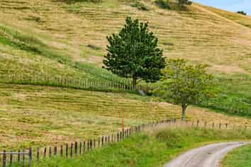 Lot 1, 1086 Dartmoor Road, Puketapu