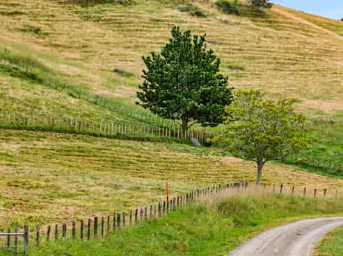 Lot 1, 1066 Dartmoor Road, Puketapu