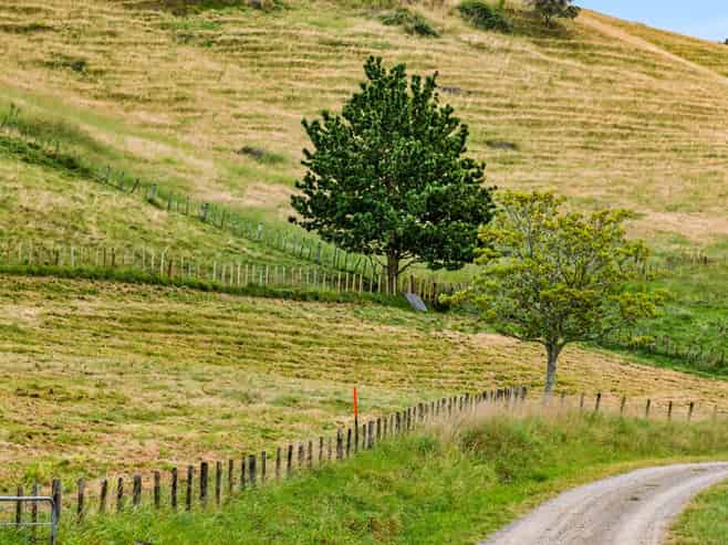 Lot 1, 1066 Dartmoor Road, Puketapu