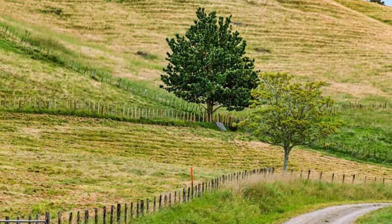 Lot 1, 1066 Dartmoor Road, Puketapu