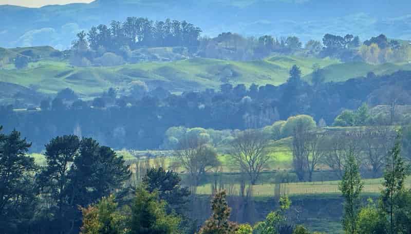 Lot 1, 1066 Dartmoor Road, Puketapu
