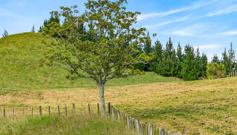 Lot 1, 1066 Dartmoor Road, Puketapu