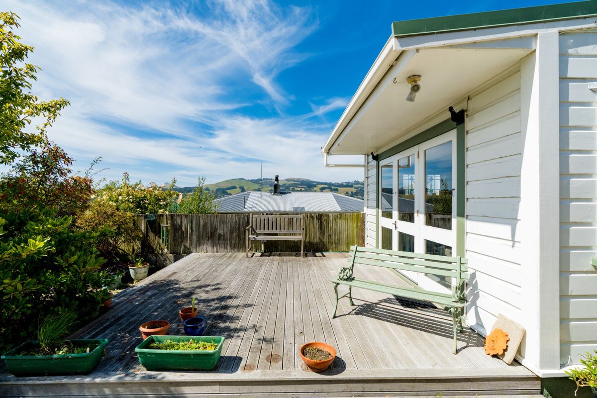 1/4 Acre Kiwi Icon - Ansicht 3