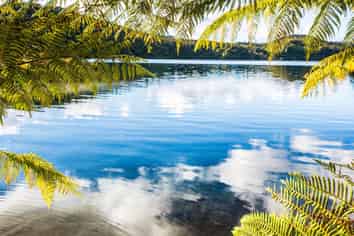 Tourism Investment Opportunity – Lake Cruise